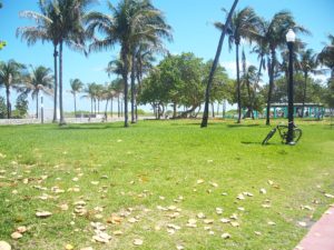 Lummus Park Miami Beach - Einreise USA